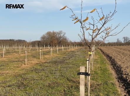 Prodej pozemku, ostatní, 9 979 m²