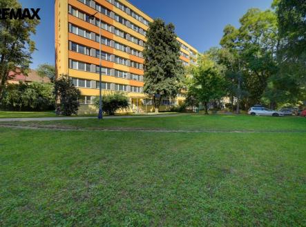 Pronájem bytu, 1+1, 31 m²