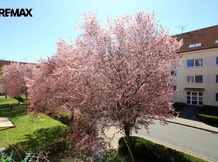 Prodej bytu, 2+1, 61 m²