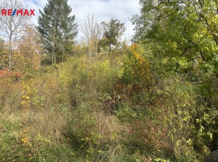 Prodej pozemku pro bydlení, 1 395 m²