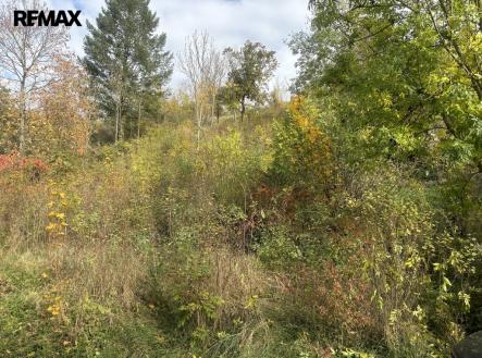 Prodej pozemku pro bydlení, 1 395 m²