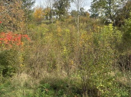 Prodej pozemku pro bydlení, 1 395 m²