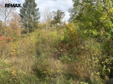 Prodej pozemku pro bydlení, 1 395 m²