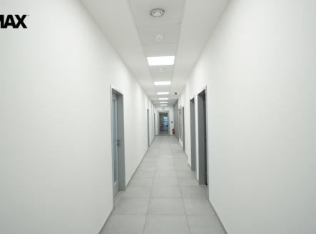 Pronájem kanceláře, 200 m²