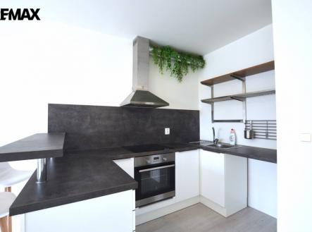 Pronájem bytu, 1+kk, 49 m²