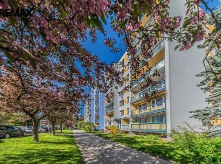 Prodej bytu, 3+kk, 65 m²