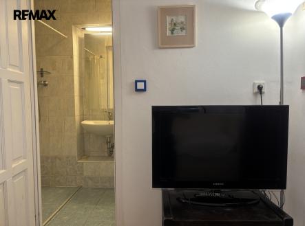 Pronájem bytu, 1+kk, 20 m²
