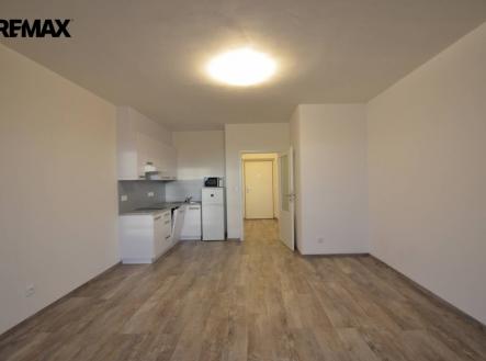 Pronájem bytu, 1+kk, 46 m²
