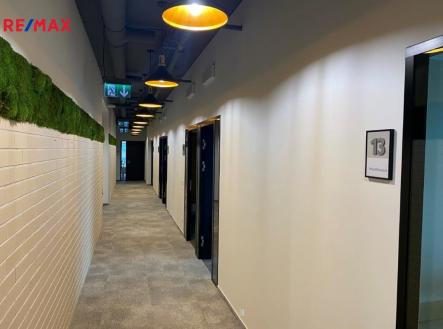 Pronájem kanceláře, 924 m²