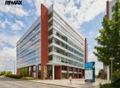 Pronájem kanceláře, 350 m²