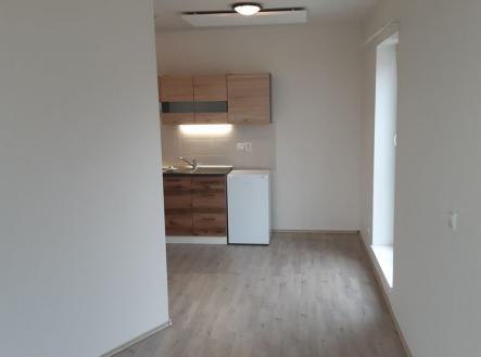 Pronájem bytu, 1+kk, 24 m²