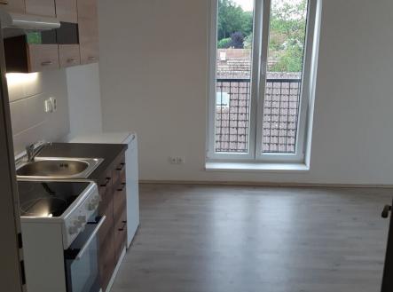 Pronájem bytu, 1+kk, 24 m²