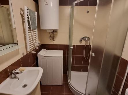 Pronájem bytu, 1+kk, 21 m²