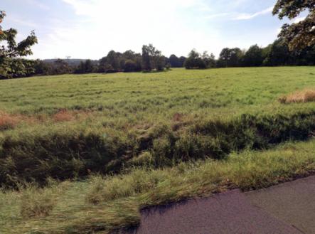 Prodej pozemku, trvalý travní porost, 71 898 m²