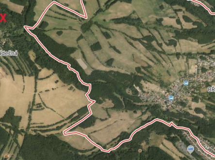 Prodej - pozemek, les, 71 898 m²