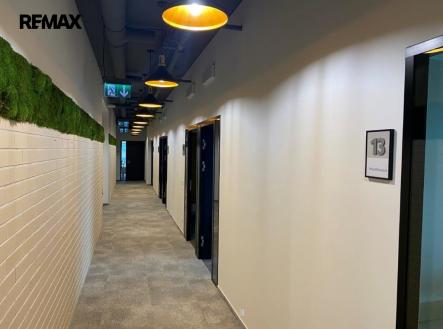 Pronájem kanceláře, 394 m²