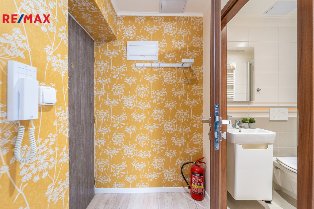 Fotku se nepodařilo načíst.