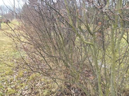 Prodej pozemku pro bydlení, 578 m²