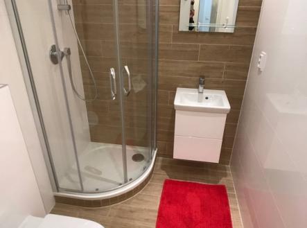 Pronájem bytu, 1+kk, 25 m²