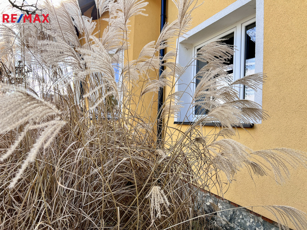 Prodej rodinného domu 6+1 se zahradou, Příchovice, Kucíny, Přeštice, Plzeň