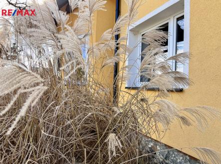 Prodej domu/vily, 238 m²