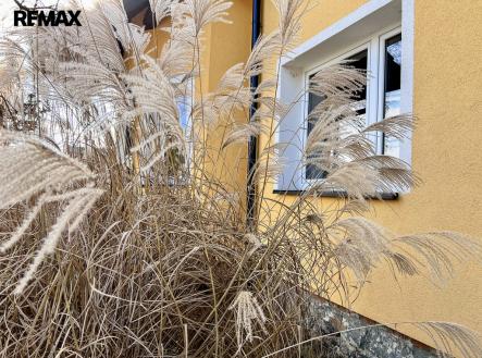 Prodej domu/vily, 238 m²