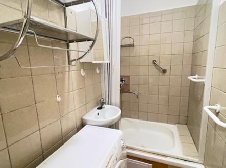 Pronájem bytu, 1+kk, 24 m²