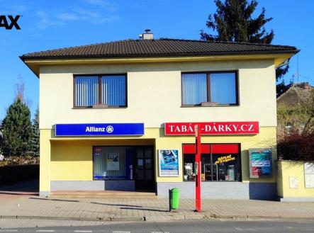 Pronájem obchodní prostory, 301 m²