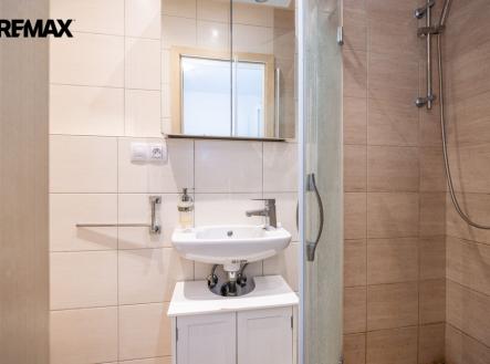 Pronájem bytu, 1+kk, 18 m²