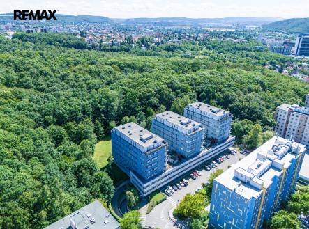 Pronájem bytu, 1+kk, 11 600 m²