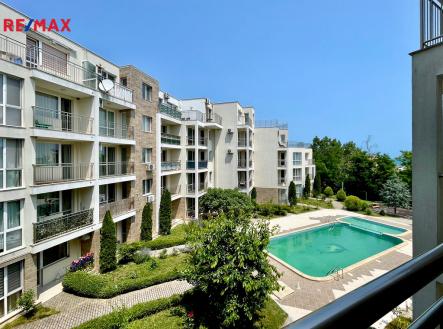 Orchid Casel de Paradise.