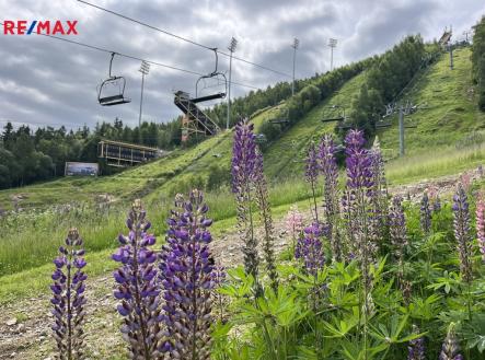 Prodej hotel, 400 m²