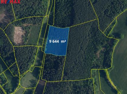 Prodej - pozemek, les, 66 688 m²