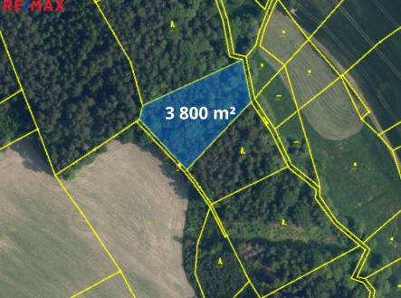 Prodej - pozemek, les, 66 688 m²