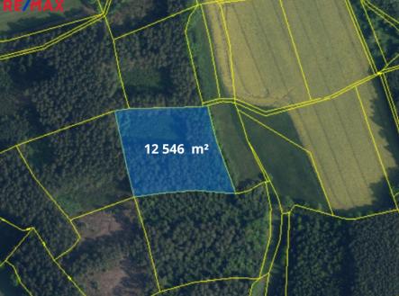 Prodej pozemku, les, 66 688 m²