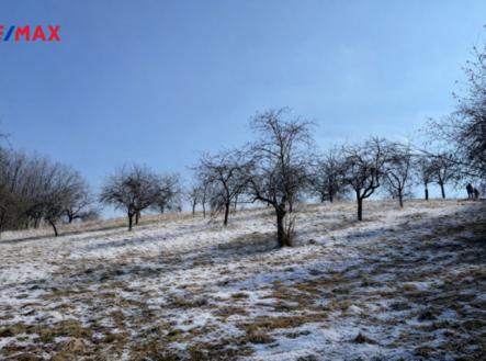 Prodej pozemku pro bydlení, 10 089 m²