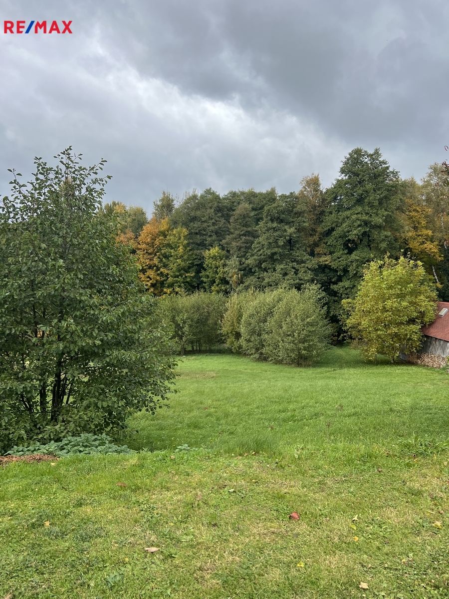 Pozemek pohled z cesty