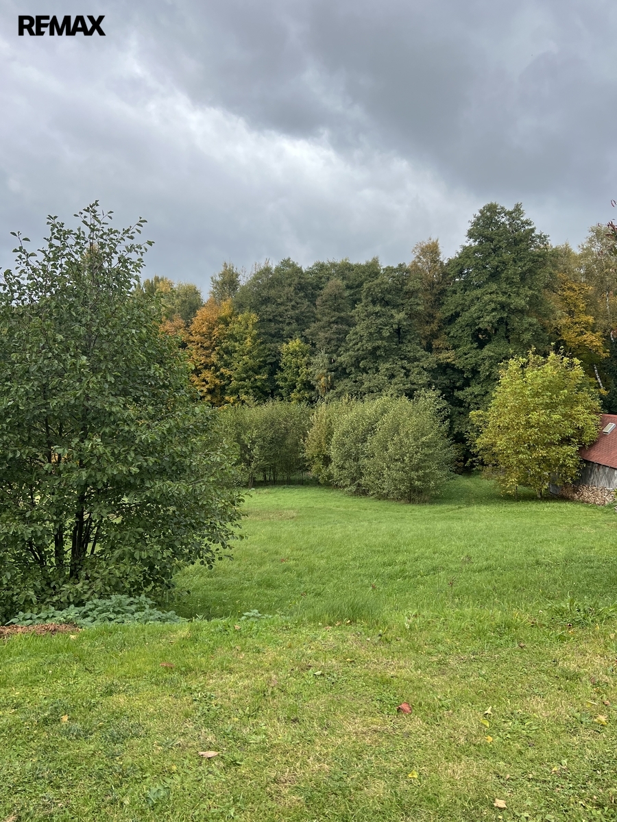 Pozemek pohled z cesty