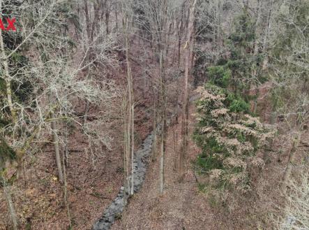 Prodej pozemku, les, 5 535 m²