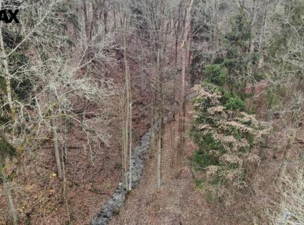 Prodej pozemku, les, 5 535 m²