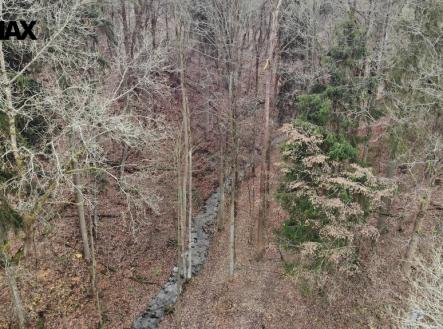 Prodej pozemku, les, 5 535 m²