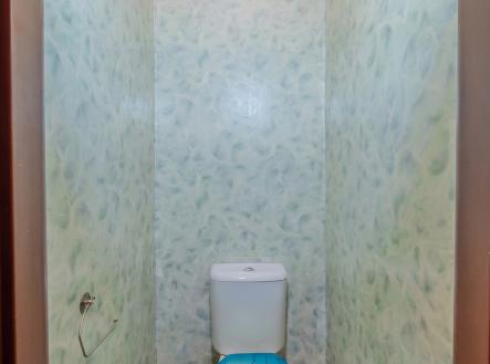 wc - vyklizeno vizualizací