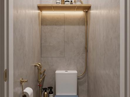 vizualizace zrekonstruovaného wc