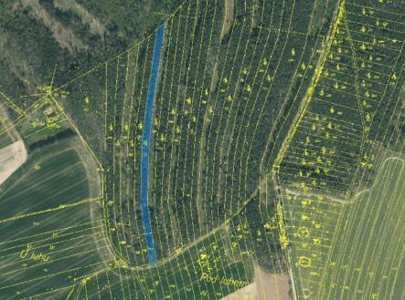 Prodej pozemku, les, 24 818 m²