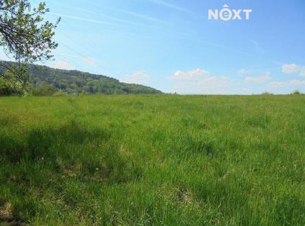 Prodej pozemku pro bydlení, 2 187 m²