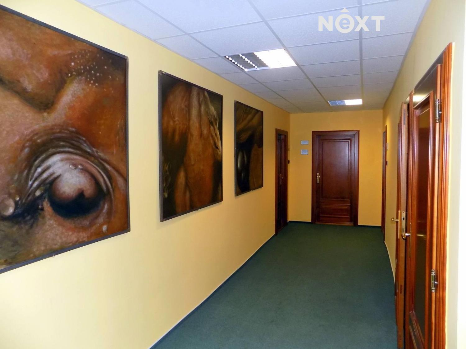 Pronájem komerční Kanceláře, 16㎡