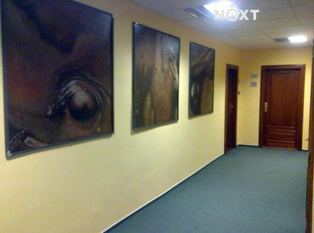 Pronájem kanceláře, 22 m²
