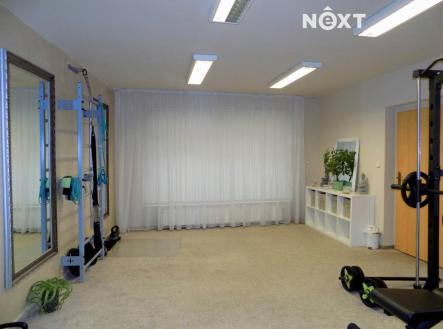 Pronájem komerčního objektu, obchodní centrum, 379 m²