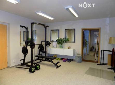 Pronájem komerčního objektu, obchodní centrum, 379 m²