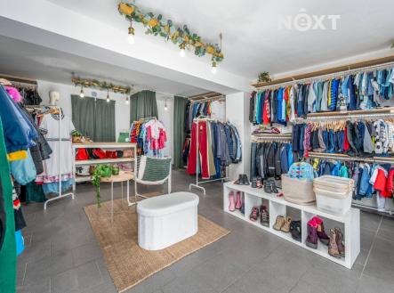 Prodej domu/vily, 243 m²